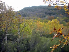 DSCN0644 DSCN0644