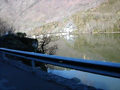 DSCN8732 DSCN8732