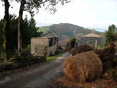DSCN6261 DSCN6261