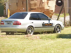 P1070855 P1070855