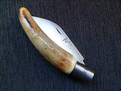SAM_3505 SAM_3505