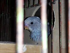 20180205_180101
