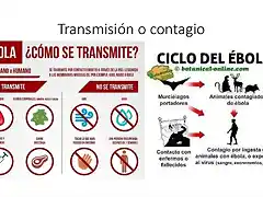 Transmisi?n-ebola-III