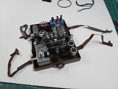 DSCN8990