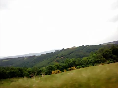 DSCN6509 DSCN6509