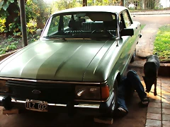 Ober?_-_hombre_reparando_un_Ford_Falcon_Verde