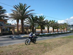 DSCN3541 DSCN3541