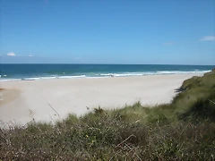 DSCN3542 DSCN3542