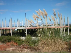 DSCN3573 DSCN3573