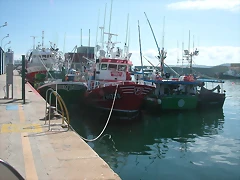 DSCN3582 DSCN3582
