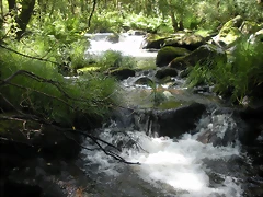 DSCN2799 DSCN2799
