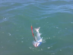 100_0042 100_0042