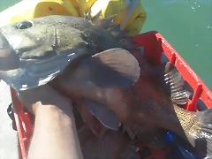 100_0037 100_0037