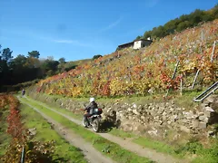 DSCN4496 DSCN4496