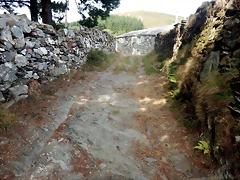 DSCN4405 DSCN4405