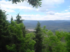 DSC07880