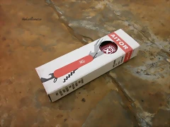 P6110009
