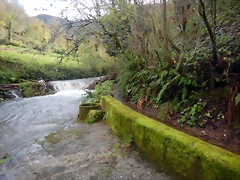 DSCN2814 DSCN2814