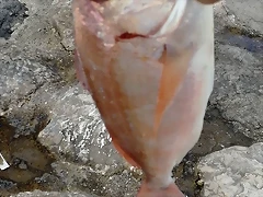 IMG-20180814-WA0003 IMG-20180814-WA0003