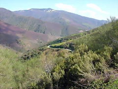 DSCN9011 DSCN9011