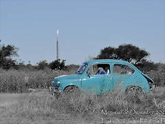 DSC_5353-2 DSC_5353-2