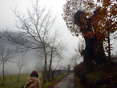 DSCN0353 DSCN0353