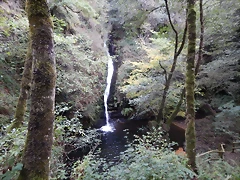 DSCN8763 DSCN8763