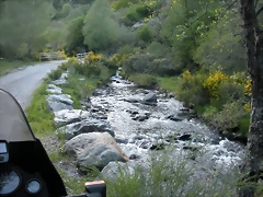 DSCN5161 DSCN5161