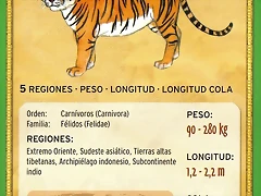 tigre