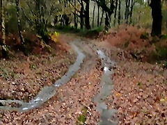 IMG_20231112_171333 IMG_20231112_171333