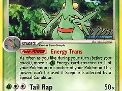 Sceptile_TCG_(Ruby_Sapphire)