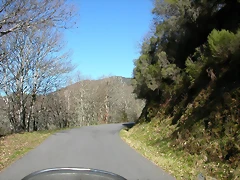 DSCN8029 DSCN8029