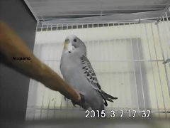 CIMG0841