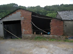 IMG_0274 IMG_0274
