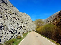 DSCN4772 DSCN4772