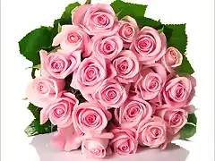 21587-2-gran-ramo-de-veinticuatro-rosas-rosadas[1]