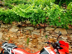 DSCN6237 DSCN6237