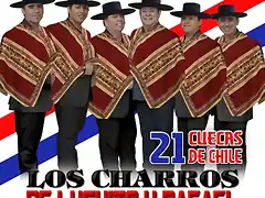 21 Cuecas De Chile