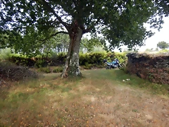 DSCN4392 DSCN4392