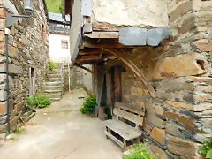 DSCN1077 DSCN1077