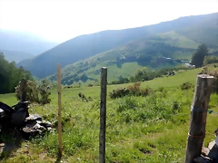 DSCN6229 DSCN6229