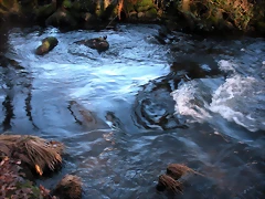DSCN2079 DSCN2079