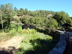 DSCN0239 DSCN0239