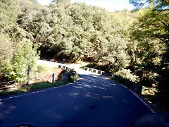 DSCN0220 DSCN0220
