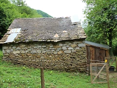 IMG_6684 IMG_6684