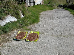 DSCN7944 DSCN7944