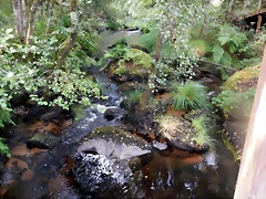 DSCN8462 DSCN8462
