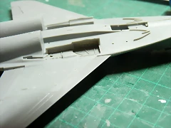 P1080600 P1080600