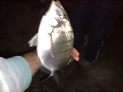 110620111016 110620111016