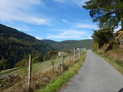 DSCN8674 DSCN8674